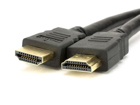 hdmi 2.0 2.1 차이, 그리고 왜 고양이가 HDMI 케이블을 좋아할까?